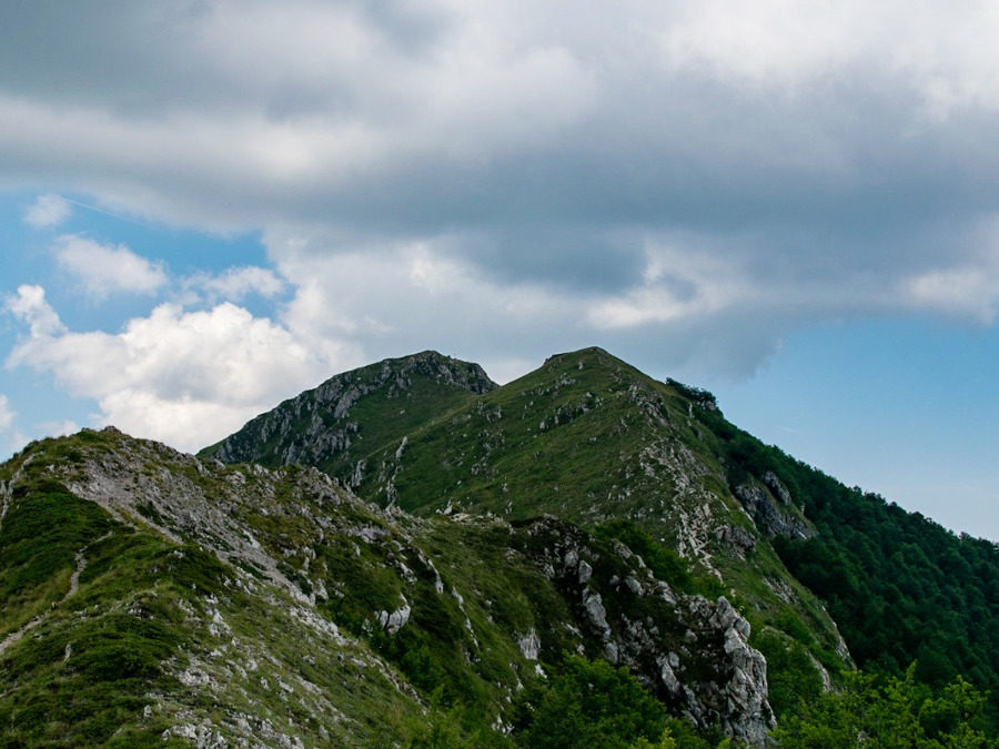 Monte Tarino, a walk on the wild side – 8 settembre 2019