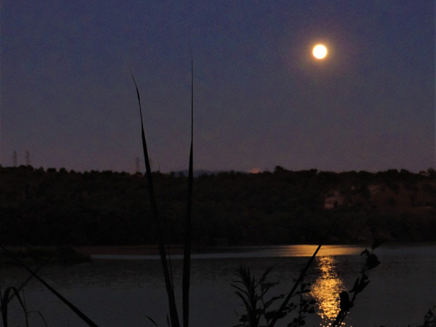 Luna piena ed escursione serale in battello a Tevere Farfa – 14 settembre 2019