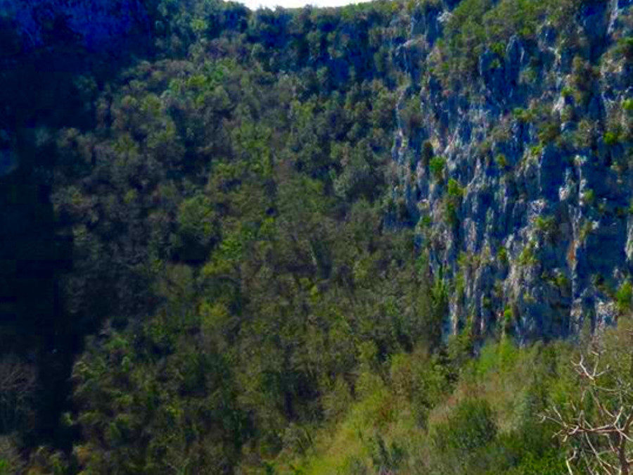 Escursione nel cuore del revotano: scrigno di biodiversità – 16 febbraio 2020