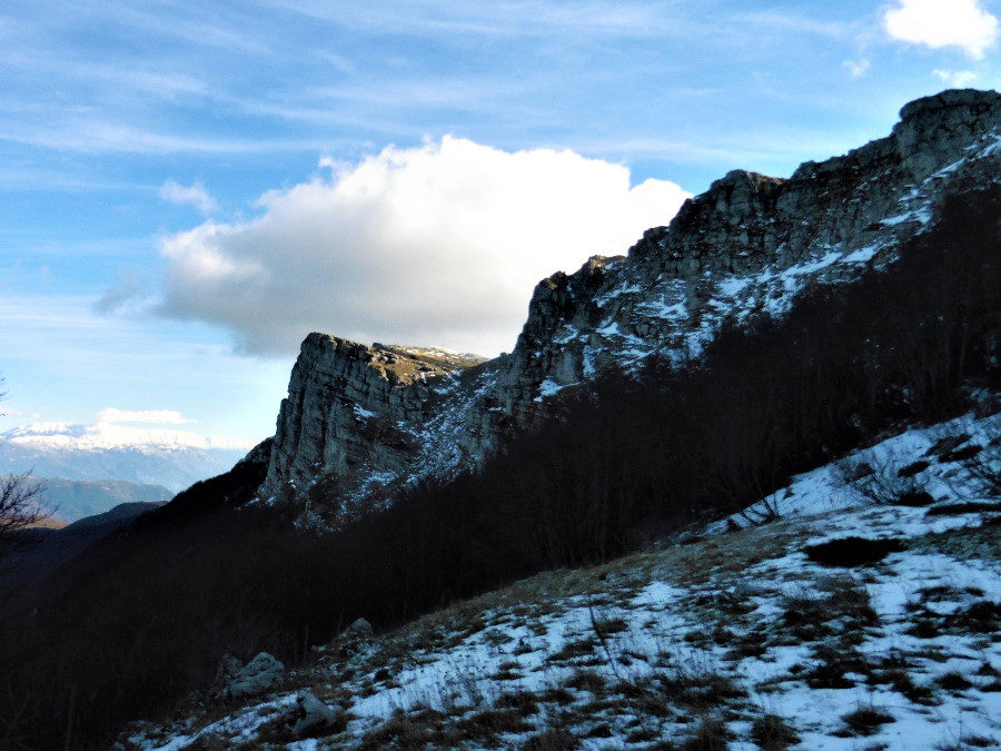 Colle di Mandra Murata: una nuova casa per il camoscio – 15 febbraio 2020