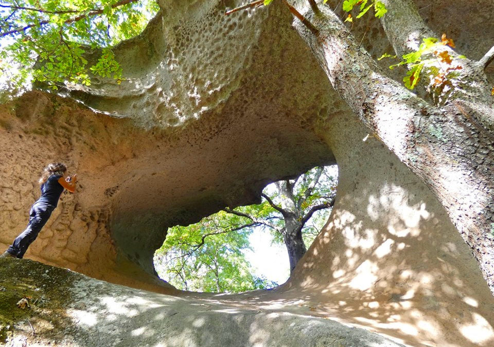 Corviano, la Selva di Malano e l’Antico Mulino – 31 maggio 2020