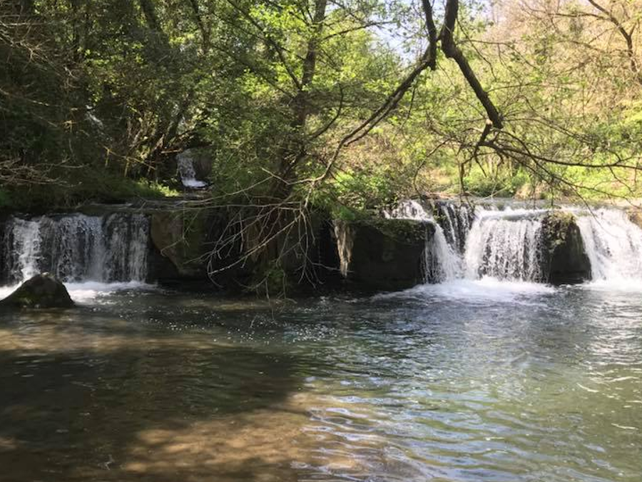 AL COMPLETO Le Cascate di Montegelato, La Valle del Treja e la Rifolta – 30 gennaio 2022