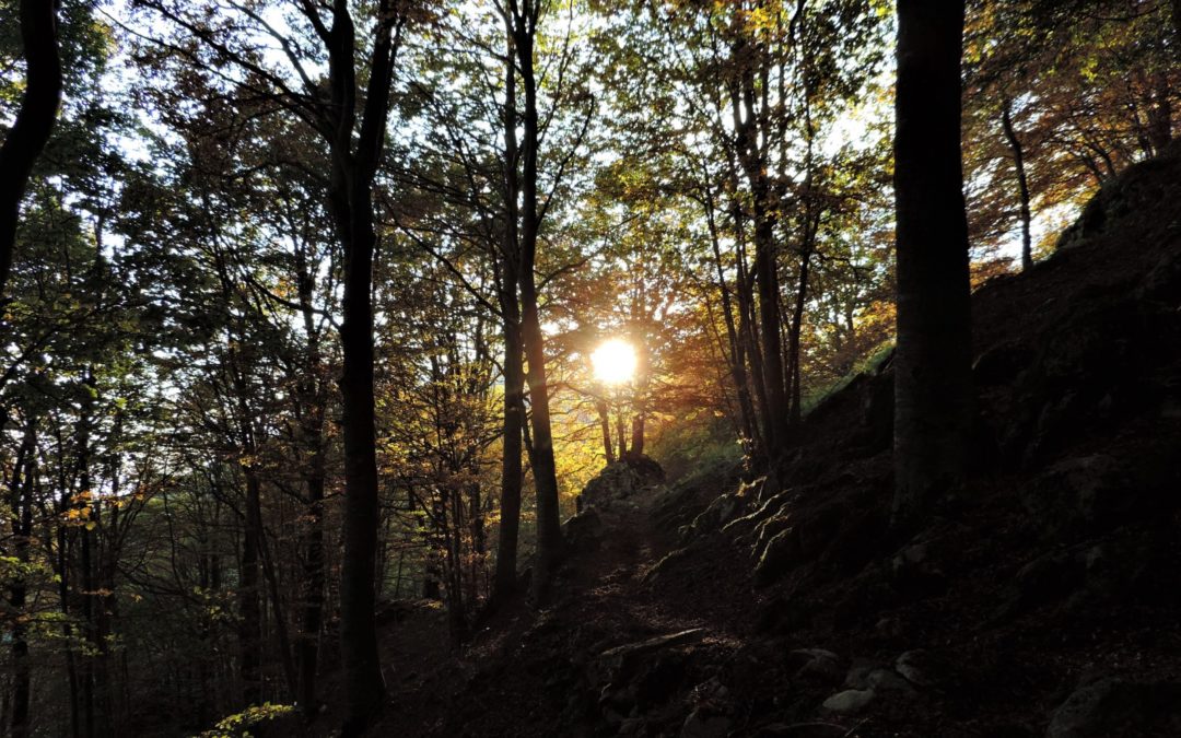 Colori d’Autunno in Abruzzo – 10/11 ottobre 2020