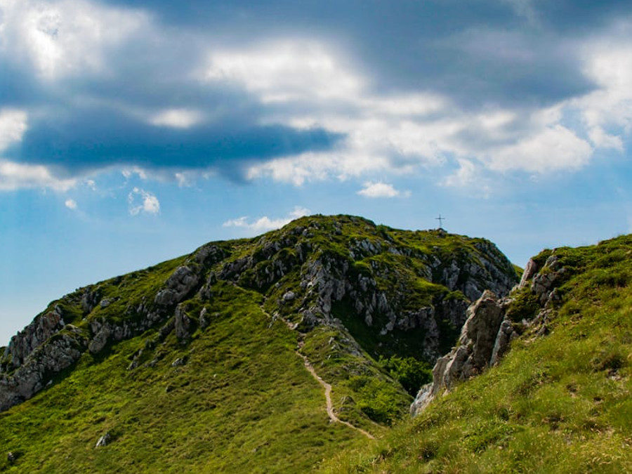 Monte Tarino: A Walk On the Wild Side – 13 settembre 2020