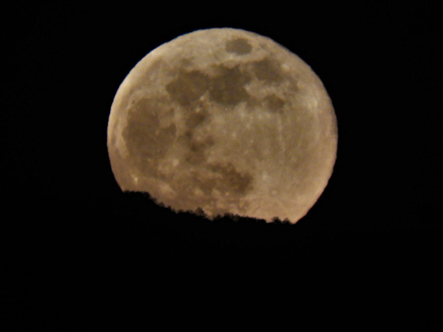 Luna piena in battello nella Riserva Tevere Farfa – 5 settembre 2020