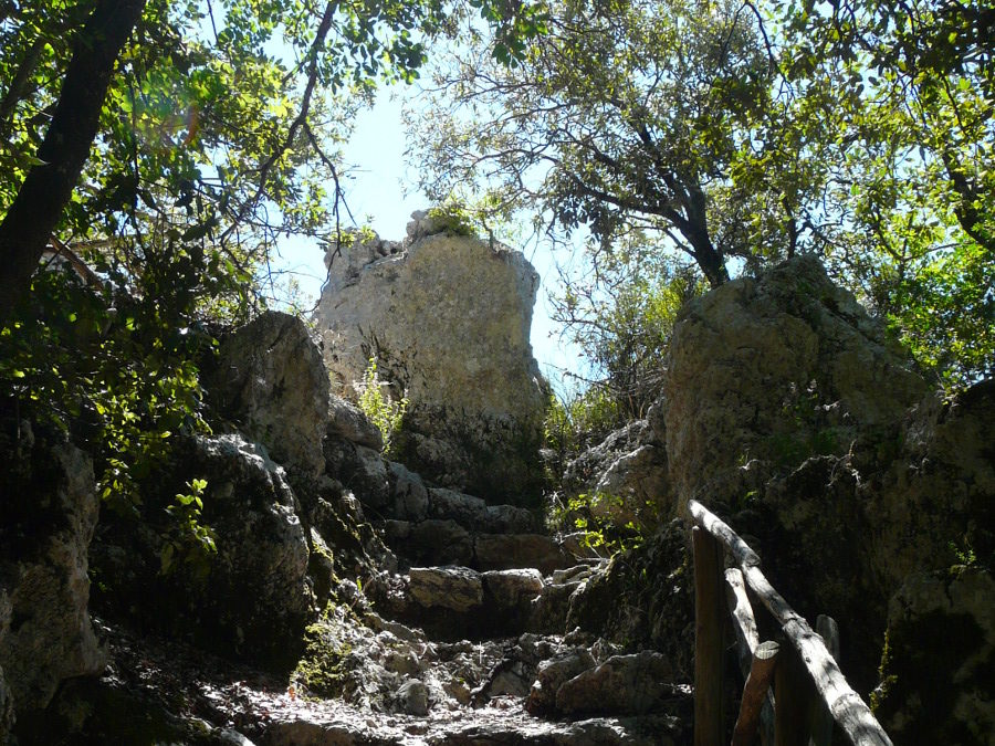 Il bosco sacro di Monteluco, Francesco, la Lex Spoletina – 11 ottobre 2020