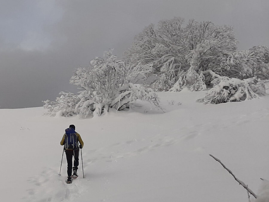 CiaspoleTrek Monte Cardito e Rifugio La Fossa – 6 marzo 2021