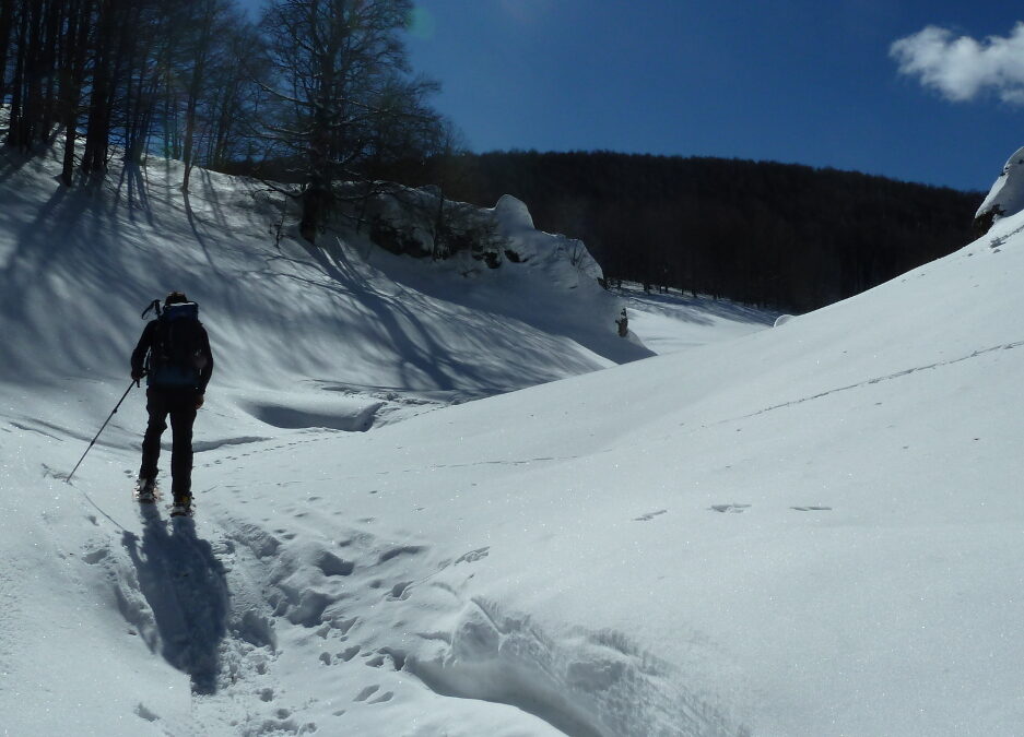 AL COMPLETO – CiaspoleTrek Monte Calvo. Tra Boschi e Bianche Vallate – 6 febbraio 2021