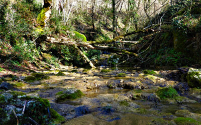 Valle delle Cannuccete, il Gioiello dei Monti Prenestini – 17 febbraio 2024