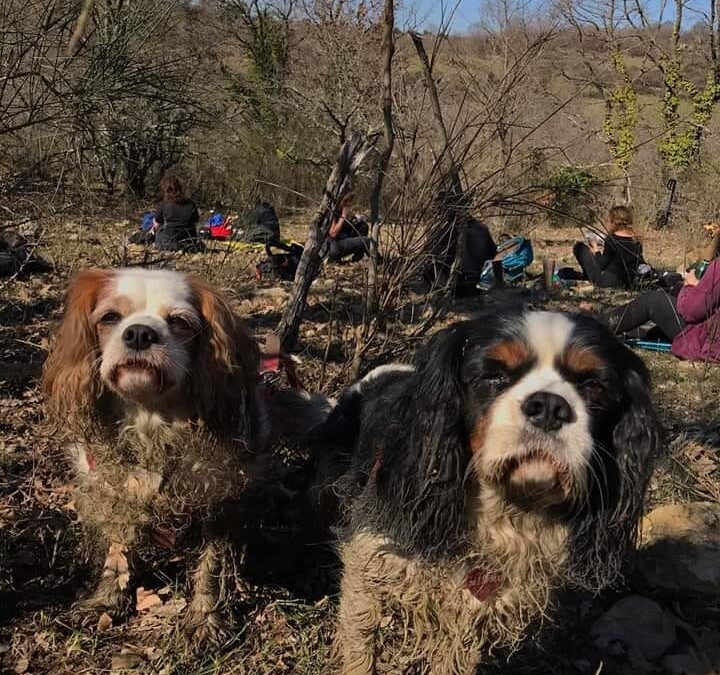 Si riparte in zona arancione