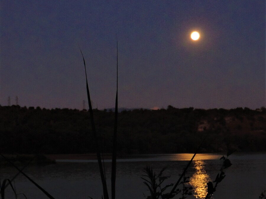 Luna piena e battello nella Riserva Naturale di Tevere Farfa – 10 settembre 2022