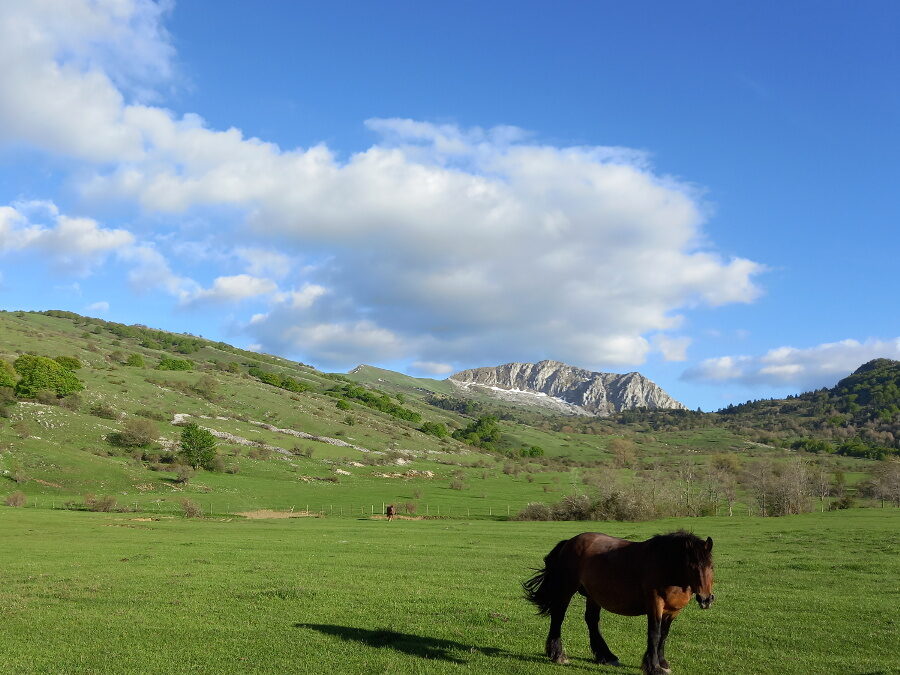 Le Eleganti Verticalità della Serra di Celano – 16 giugno 2021