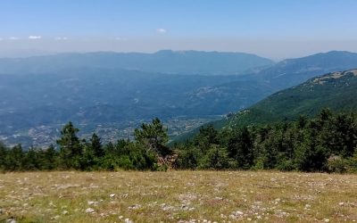 Tra Vasti Pascoli e Foreste: il Monte Calvo – 2 luglio 2023