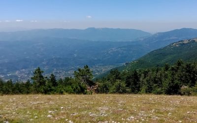 Tra Vasti Pascoli e Foreste sul Monte Calvo – 22 giugno 2025