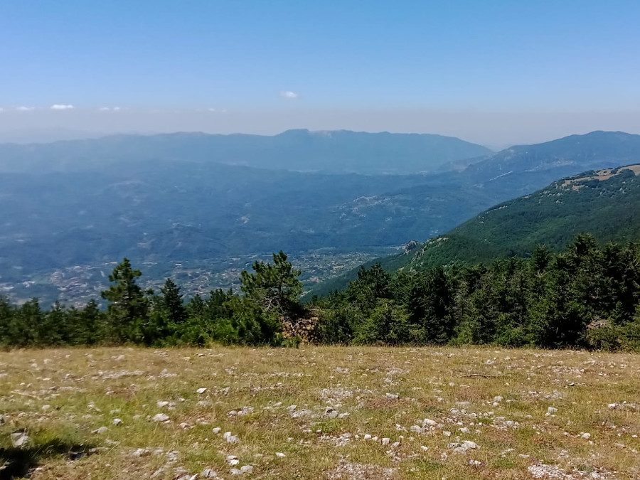 AL COMPLETO Tra vasti pascoli e foreste: il Monte Calvo – 5 settembre 2021