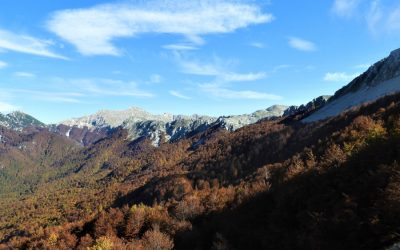 I Colori dell’Autunno nel Parco Nazionale d’Abruzzo – dal 14 al 15 ottobre 2023