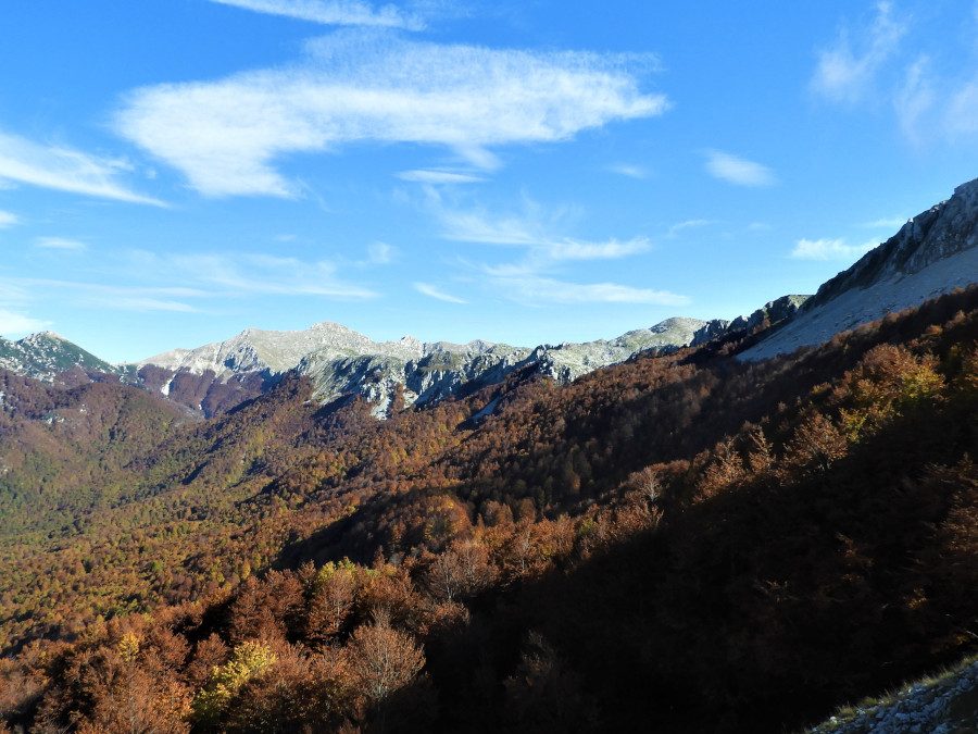 I colori dell’autunno nel Parco Nazionale d’Abruzzo – 16/17 ottobre 2021