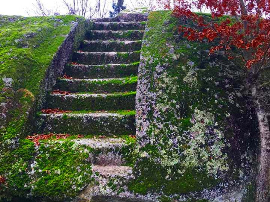 Monte Casoli: Il Bosco del Serraglio e l’abitato rupestre  – 12 dicembre 2021