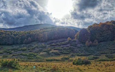 La Valle della Dogana e Monte Cesalarga – 29 aprile 2023