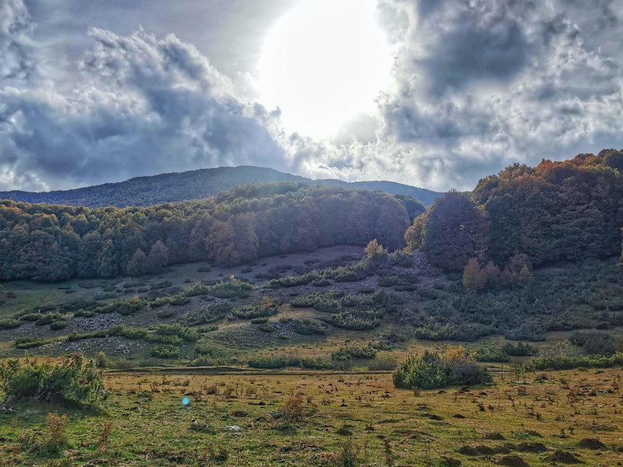 ANNULLATA – La Valle della Dogana e Monte Cesalarga – 28 novembre 2021