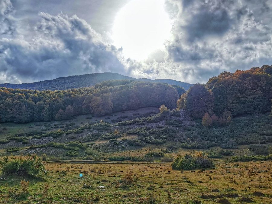 La Valle della Dogana e Monte Cesalarga – 29 aprile 2023