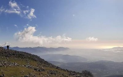 MercolediTrek sul Monte Semprevisa: un Balcone sul Mare – 22 maggio 2024