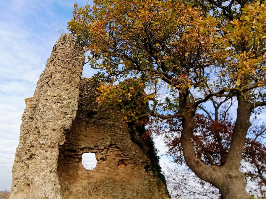 AL COMPLETO Da Castelnuovo di Porto alla Rocca di Belmonte – 23 gennaio 2022