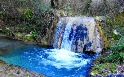 ANNULLATO Birdwatching sul sentiero dell’Aquila – 11 febbraio 2024