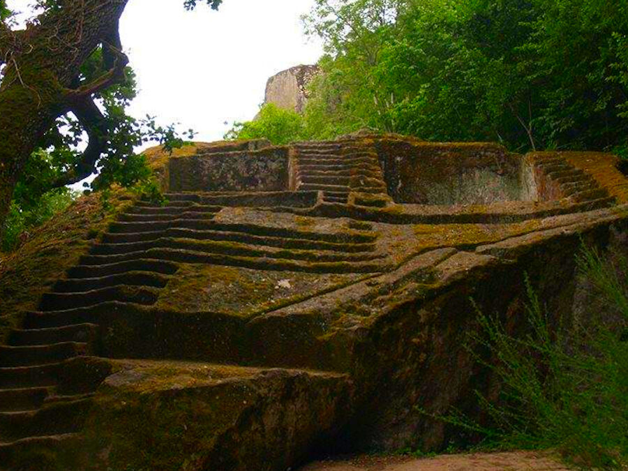 Tra Bomarzo e Chia: Una Giornata con Pasolini – 18 settembre 2021