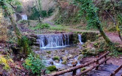 Le Cascate di Rioscuro e il Sentiero Coleman – 3 febbraio 2024