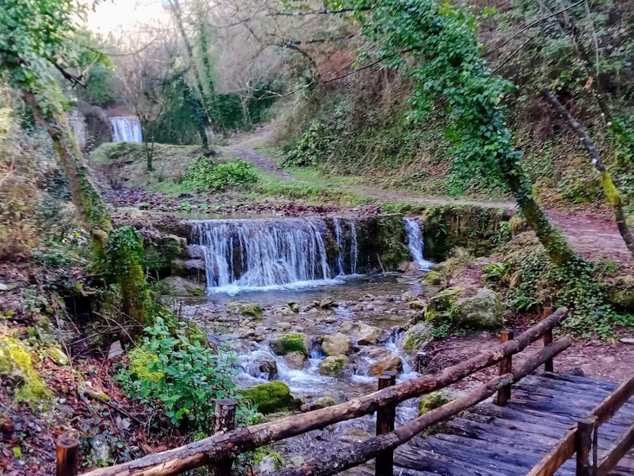 Le cascate di Rioscuro e il Sentiero Coleman – 26 marzo 2022