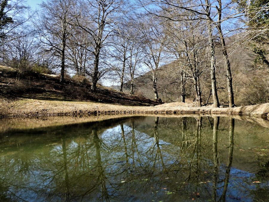 ANNULLATO Gli alberi monumentali dei Monti Sabini e pranzo in Rifugio – 19 febbraio 2023