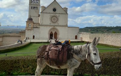 Trekking da Assisi a Gubbio a passo di ….asinello! – dal 22 al 25 aprile 2023
