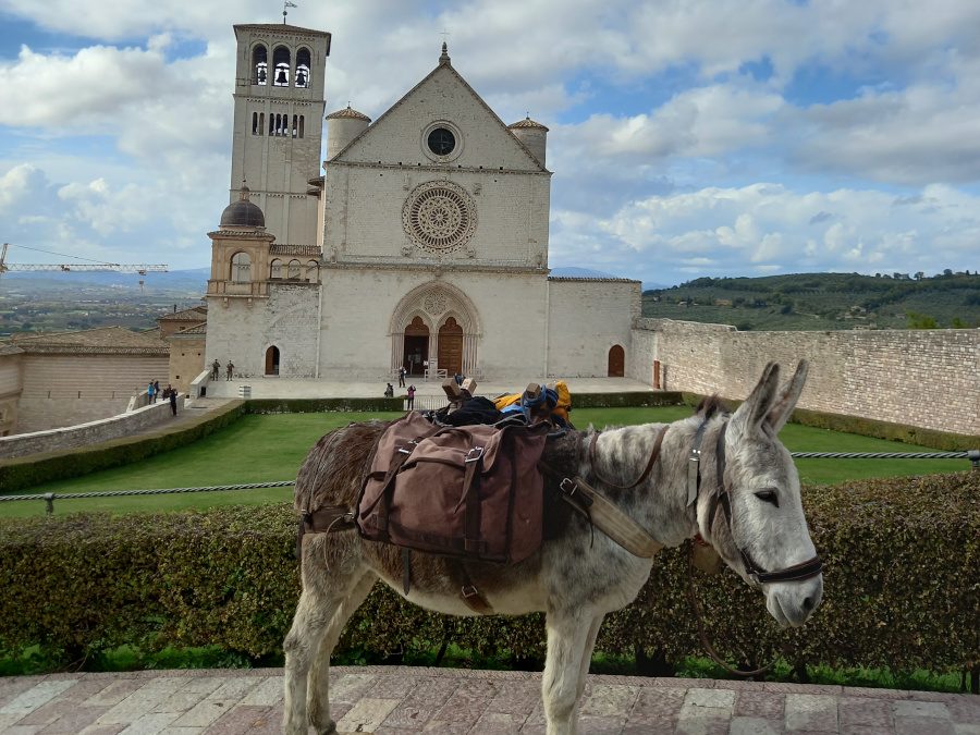 AL COMPLETO Trekking da Assisi a Gubbio a passo di ….asinello! – dal 22 al 25 aprile 2023