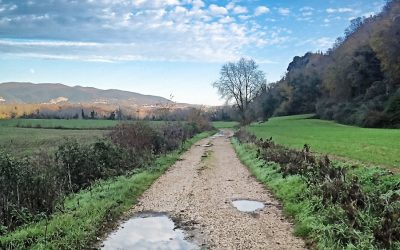 Tra Torrita e Filacciano lungo la Valle del Tevere – 12 novembre 2023