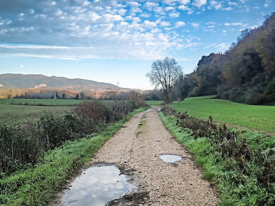 Tra Torrita e Filacciano lungo la Valle del Tevere – 20 novembre 2022