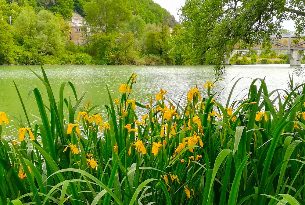 Le prossime uscite di primavera! 🌻