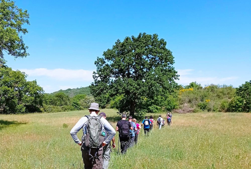 Tutte le escursioni tra maggio e giugno! 🌞