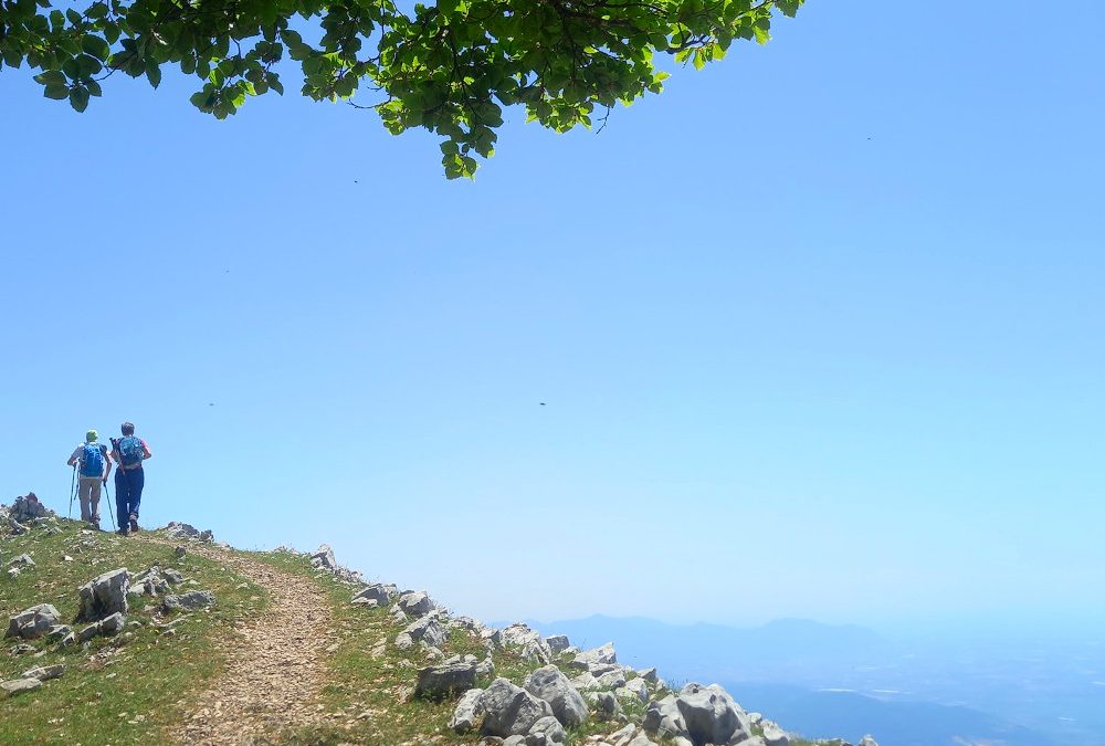 Maggio sta terminando.. Ma non le escursioni! 🌞