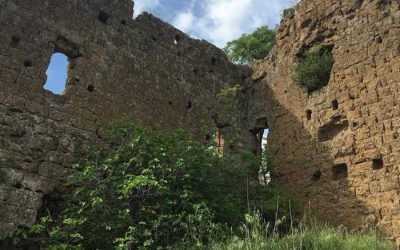 I Segreti di Castel d’Ischia: la Via  Cava e il Fosso Cerreto – 26 giugno 2022