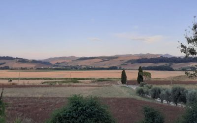 Passeggiata serale, birdwatching ed apericena nella Valle del Mignone – 24 giugno 2023