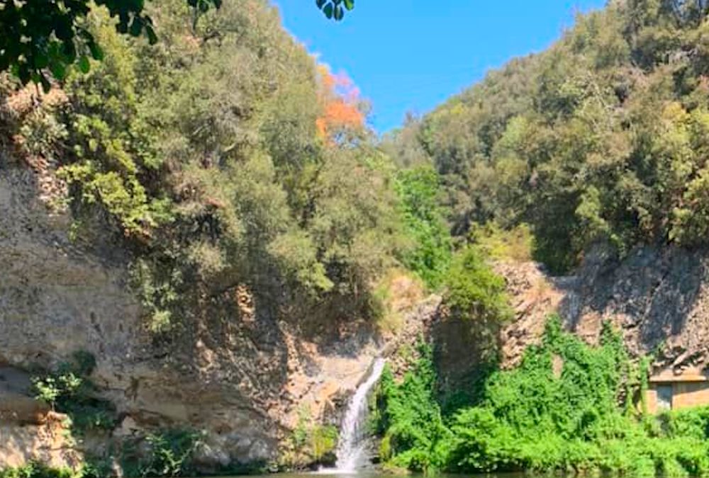 Le escursioni intorno a Ferragosto 🌞