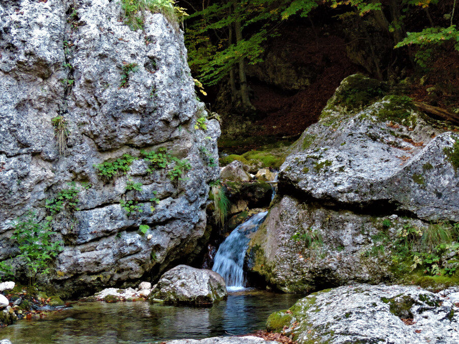 I colori dell’Autunno nel Parco Nazionale d’Abruzzo: La Valle di Canneto – 23 ottobre 2022