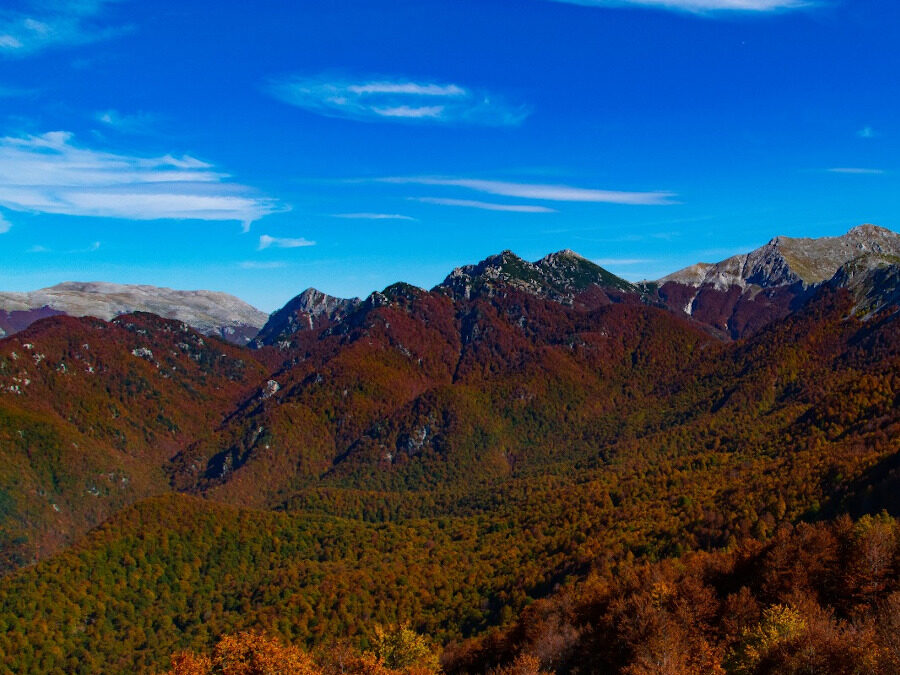 I colori dell’Autunno nel Parco Nazionale d’Abruzzo: La Valle Inguagnera – 22 ottobre 2022
