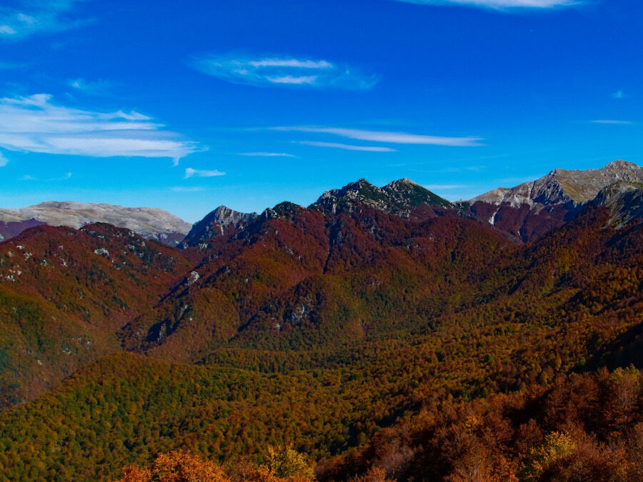 AL COMPLETO I colori dell’Autunno nel Parco Nazionale d’Abruzzo: La Valle Inguagnera – 22 ottobre 2022