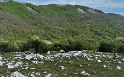 MercolediTrek sul Monte Pellecchia – 24 gennaio 2024