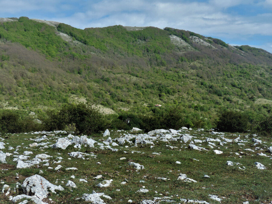 Monte Pellecchia: Dove Osano Le Aquile – 7 aprile 2024