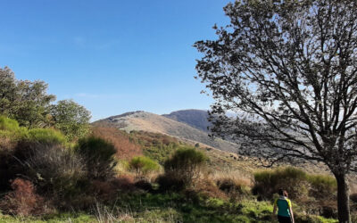 I Panorami del Monte Elci – 28 gennaio 2024