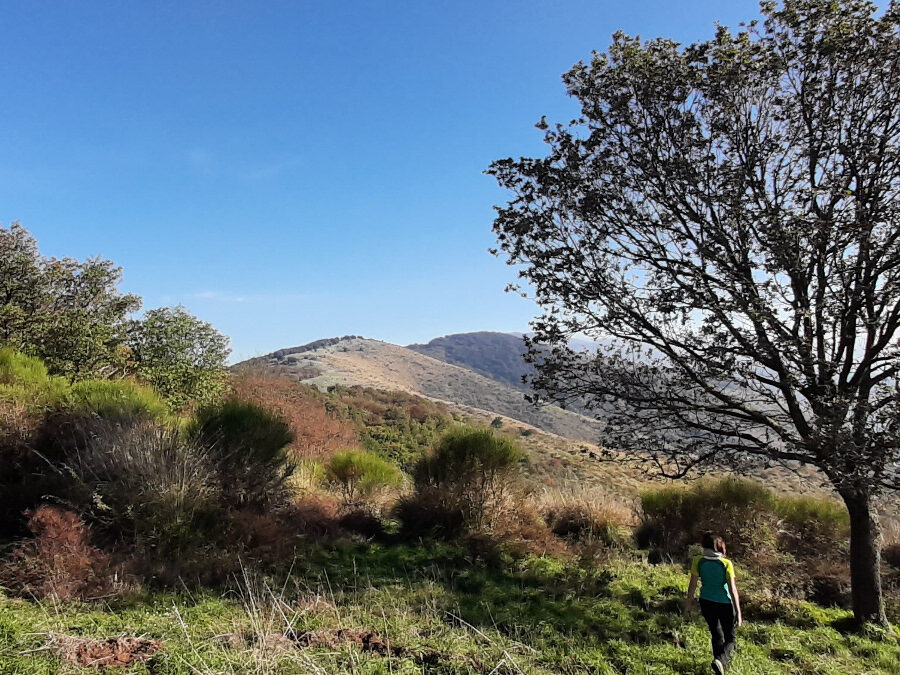 I Panorami del Monte Elci – 28 gennaio 2024