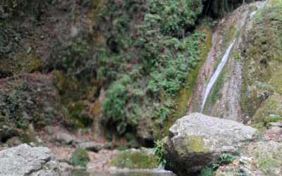 Tra Cineto Romano e Riofreddo: la Valle delle Cascate del Rioscuro – 8 gennaio 2023